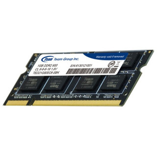  Team 十铨 DDR2 800MHz 1GB 笔记本内存