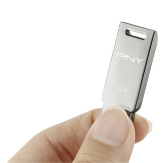  PNY 必恩威 泰坦盘 金属U盘 定制版 8GB