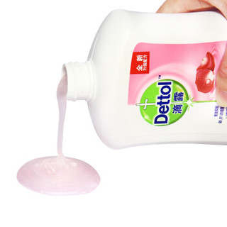 Dettol 滴露 健康抑菌洗手液 套装 滋润倍护 （500g*1瓶+300g*1袋）*2套+植物呵护 500g*1瓶+300g*1袋