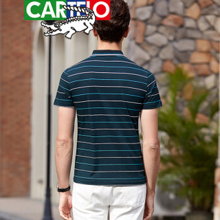 CARTELO 8306 男士短袖POLO衫 绿色 XXL