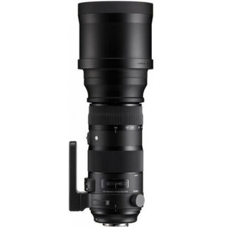 SIGMA 适马 150-600mm F5-6.3 DG OS HSM｜Sports 全画幅远摄变焦镜头