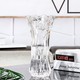 法兰晶 TM20 玻璃花瓶 5款可选