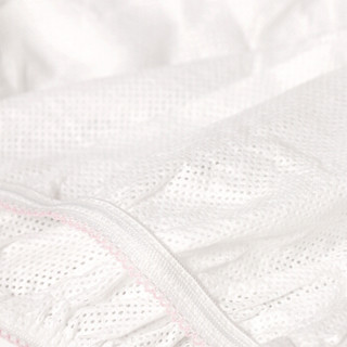 PurCotton 全棉时代 孕妇一次性内裤 (L码、白色)