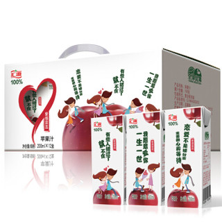 Huiyuan 汇源 爱情宣言 100%苹果汁 200ml*12盒