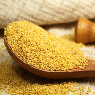 乐食麦黄小米100g