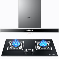 Haier 海尔 E900T2S+QE5B1 烟灶套装(天然气)