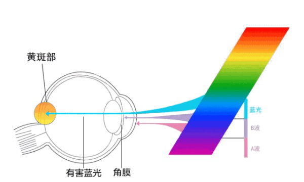 《PC物语》No.17：不止看频闪，护眼显示器的四大要素