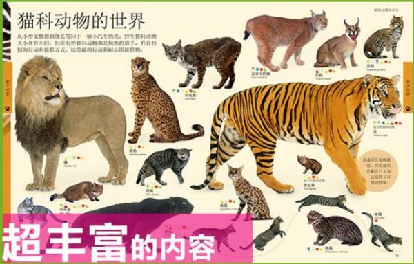 dk儿童动物大百科第2版dk儿童百科百问百答dk儿童人体百科全书dk儿童