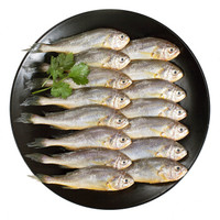 海名威 国产冷冻东海小黄鱼 500g 16-20条 袋装 生鲜海鲜水产 鱼类