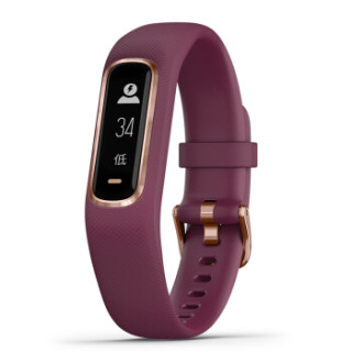 GARMIN 佳明 Vivosmart 4 智能手环