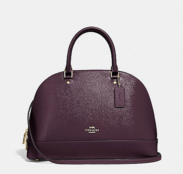 coach sierra f31352 女士大号贝壳包