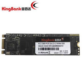 KINGBANK 金百达 KM220 M.2 NVMe 固态硬盘