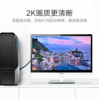 UGREEN 绿联 DV101 DVI视频线
