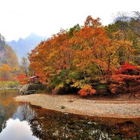 每日一景点：跟你保证！十一这里也没有人！什么叫层林尽染，赏红叶看这里