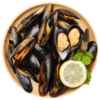 海买 智利进口全壳贻贝 原味 454g/袋 25-30只