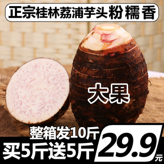 水果总动员 桂林荔浦大芋头 (10斤)