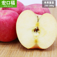 宏口福 吉县红富士苹果 (10斤)