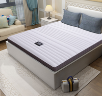 依丽兰床垫10cm 天然乳胶薄床垫 环保3E椰棕护脊棕垫
