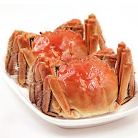 八帅 阳澄湖大闸蟹 礼券1688型 公4两 母3两 4对8只