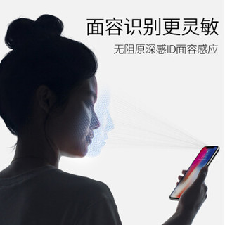  观悦 iPhone X 非全屏 钢化膜 (紫光)