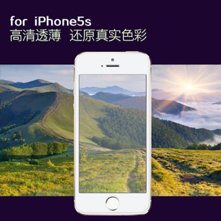  斯泰克 iPhoneSE/5s钢化膜抗蓝光玻璃手机屏幕保护前贴膜 适用苹果5C SE/5s/5c通用-0.2mm弧边钢化膜