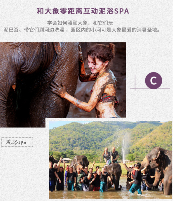 泰国清迈美康大象保护营半日/一日游（含接送）