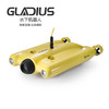 CHASING gladius 水下机器人 (100米深 高级版)