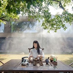 杭州龙井茂居酒店1晚住宿套餐（含双早＋双人下午茶+御茶园门票2张+品茶弹琴/书法临摹）