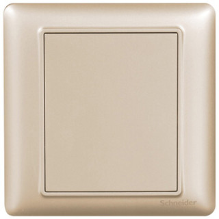 施耐德电气（Schneider Electric）开关插座面板 空白面板 白板 盖板 睿意系列 金色A3E50_WG