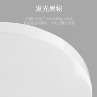 SDhouseware 首度家居 led吸顶灯餐厅灯阳台灯卧室灯客厅灯 星空面包灯 40*40cm 白光 22W