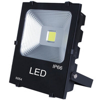 HD  LED投光灯 投射灯超亮户外照明 IP66防水广告招牌灯户外灯 50W 白光