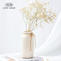佳佰 北欧简约现代花瓶摆件 家居饰品客厅酒柜装饰品摆件 陶瓷拉斐花瓶