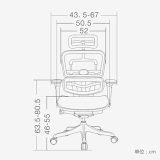 保友办公家具（Ergonor）电脑椅 联友金豪+精英版 人体工学椅 办公皮椅 带躺舒宝黑色