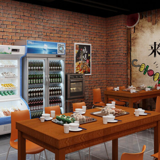  星星（XINGX） 800升 双门冷藏展示柜 商用保鲜柜 冷藏保鲜陈列柜 啤酒柜 饮料柜 LSC-800K