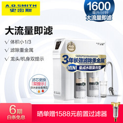 A.O.SMITH 史密斯 R600ETD1 家用净水器 1.6升/分钟