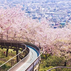 多航司任选！ 北京/天津/上海-日本东京5天往返含税