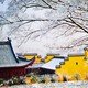 门票特惠：杭州杭州西湖灵隐寺飞来峰门票