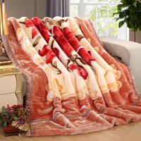 九洲鹿 毛毯家纺 双层加大拉舍尔毛毯盖毯 保暖秋冬毯子 米驼 约5.6斤 180*220cm