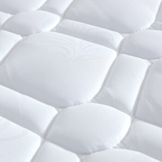 宜眠坊（ESF） 床垫 椰棕床垫 3D椰维棕垫 织棉面料 J03舒适版（适合儿童老人学生） 1.2米*1.9米*0.05米