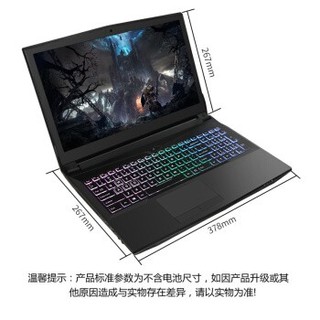 Hasee 神舟 战神 ZX7-CR6DH 15.6英寸游戏本（i5-9600K、8GB、1TB+256GB、GTX1060 6G）