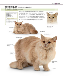  《DK 世界名猫驯养百科》