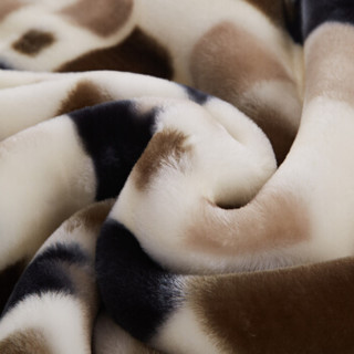 南极人（NanJiren）毛毯 拉舍尔毛毯 加厚保暖双人秋冬厚毯子被子盖被 米格 约6.6斤