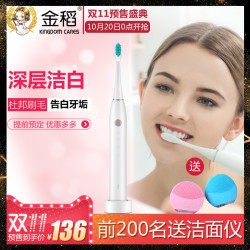 金稻电动牙刷女家用成人款男充电式自动牙刷超