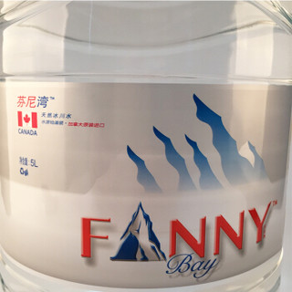 FANNYBAY 芬尼湾 天然冰川水 5L*4桶 整箱装