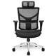 迩高迈思（Ergomax） ALX人体工学电脑椅网椅家用办公椅子休闲游戏椅 黑色