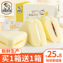 LEISURE FARM 休闲农场 三明治蒸蛋糕 蓝莓味500g 海盐芝士味500g