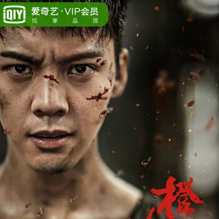 爱奇艺黄金会员VIP 1个月月卡 官方卡密（不支持TV端）