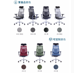 Ergonor 保友办公家具 保友 办公家具 Pofit 2代 智能人体工学椅