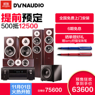 Dynaudio 丹拿 激扬系列 5.1声道 家庭影院