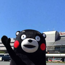 双11预售:澳门-日本福冈 6天往返含税机票 127